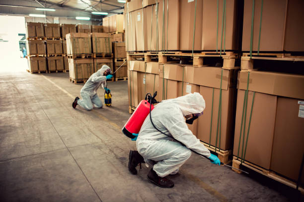 Best Pest Control Near Me  in Lenexa, KS