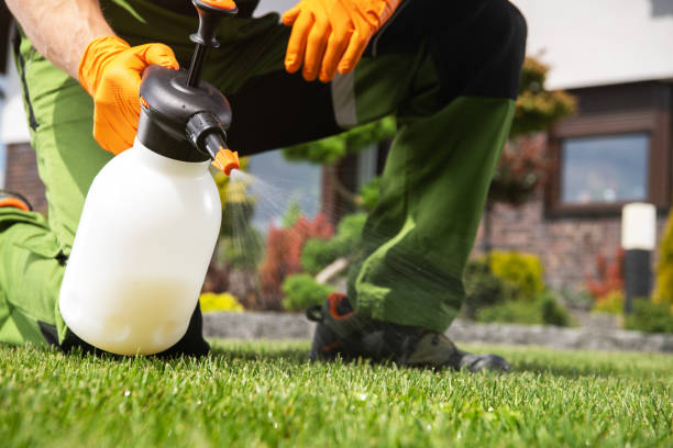Best Spider Control Near Me  in Lenexa, KS