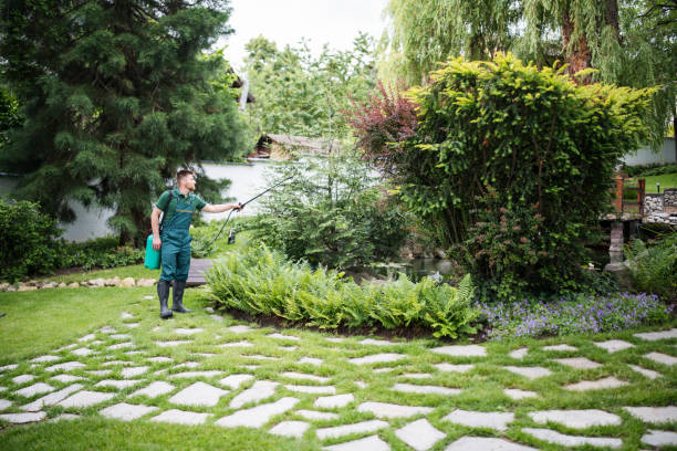 Best Residential Pest Control  in Lenexa, KS