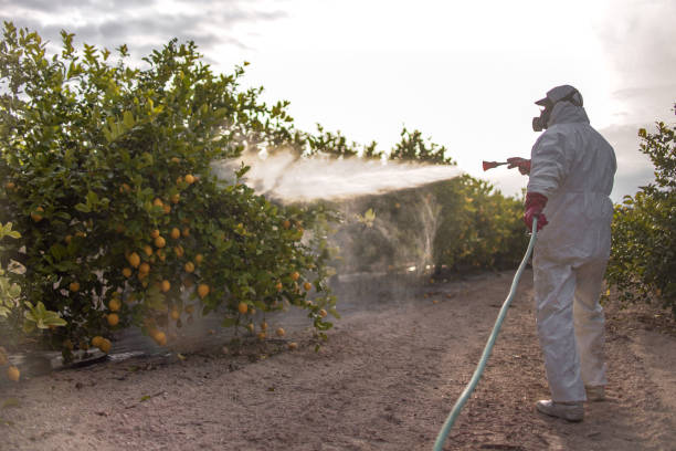 Trusted Lenexa, KS Pest Control Experts