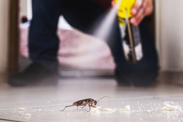 Wildlife Control Services in Lenexa, KS