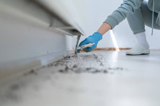 Best Pest Removal Services  in Lenexa, KS